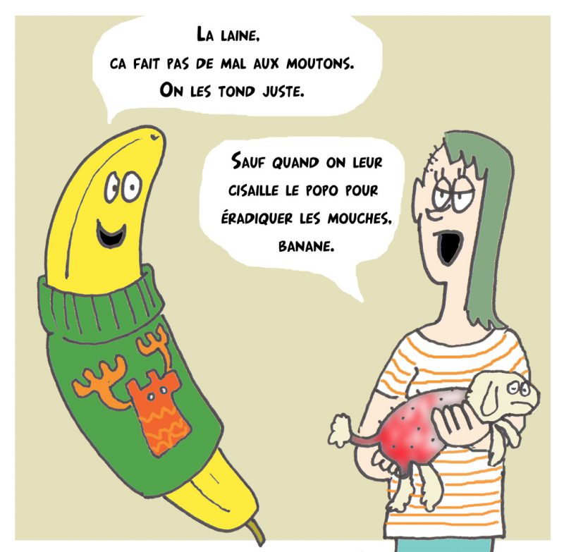 mode éthique : Banane en pull, par Polo